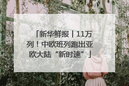 新华鲜报丨11万列！中欧班列跑出亚欧大陆“新时速”
